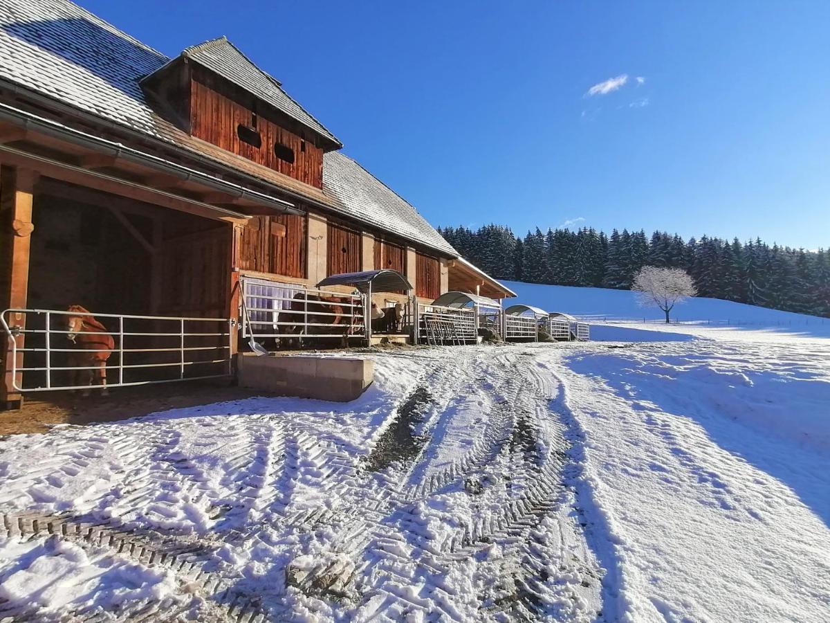 Staudachhof Apartman Althofen  Kültér fotó