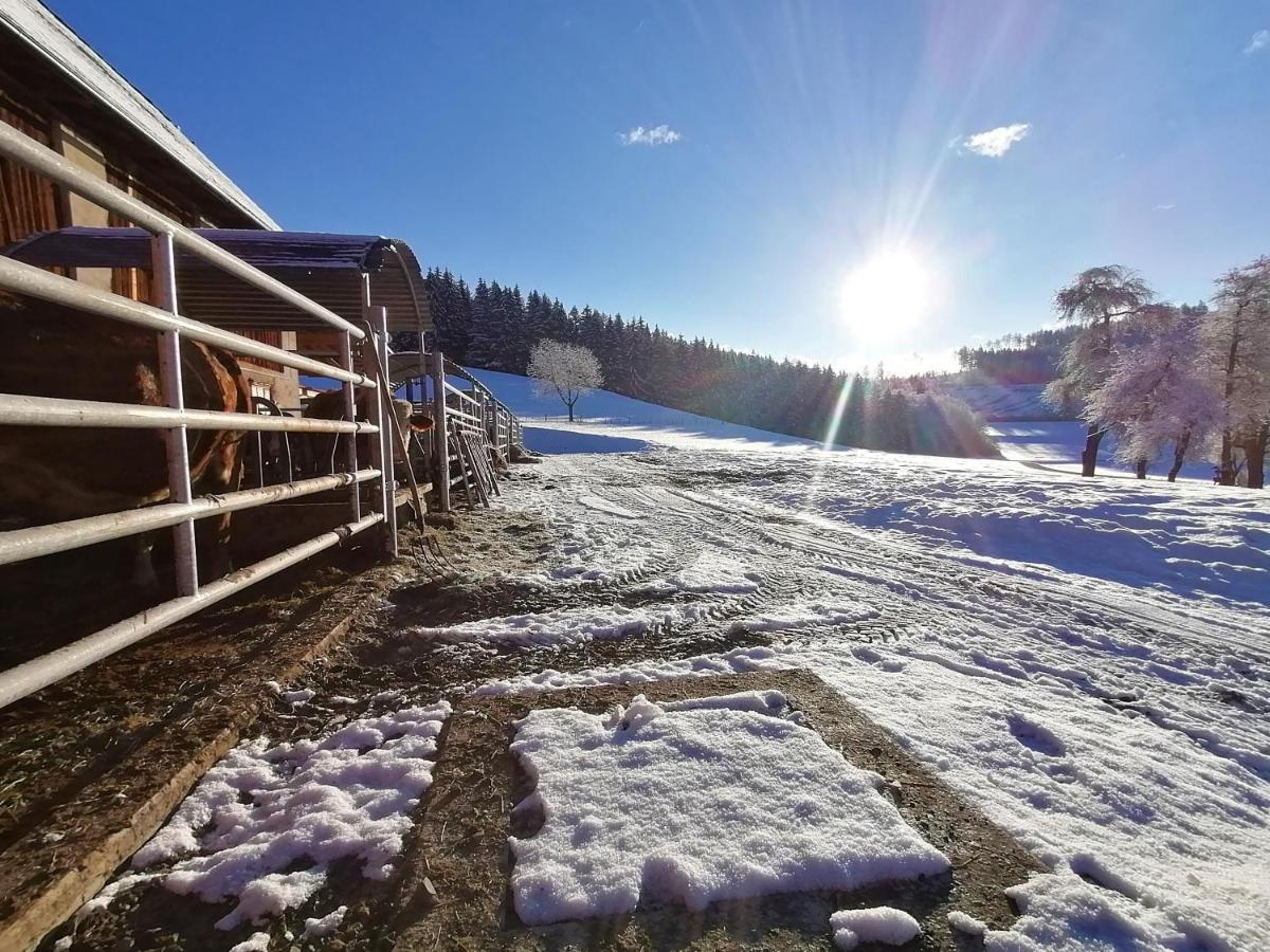Staudachhof Apartman Althofen  Kültér fotó